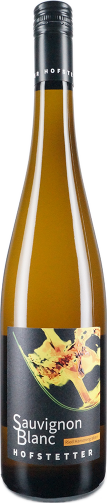 Flasche Wagram Ried Hammergraben Sauvignon Blanc trocken