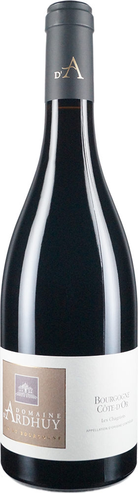 Flasche Bourgogne Côte d'Or Pinot Noir Les Chagniots trocken